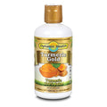 Dynamic Health Turmeric Gold Juice (Plastic) 32 fl. oz.